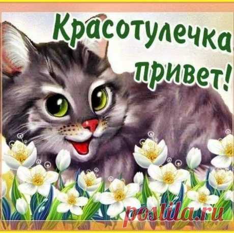 Красотуличка, привет!