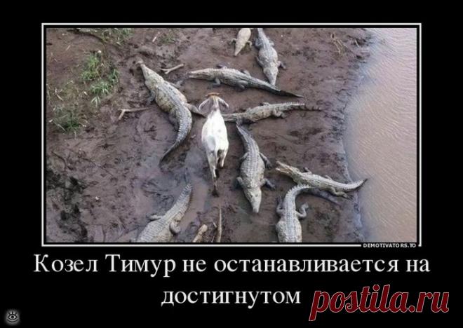 Мечтай осторожно!, 44 смешных фото приколов