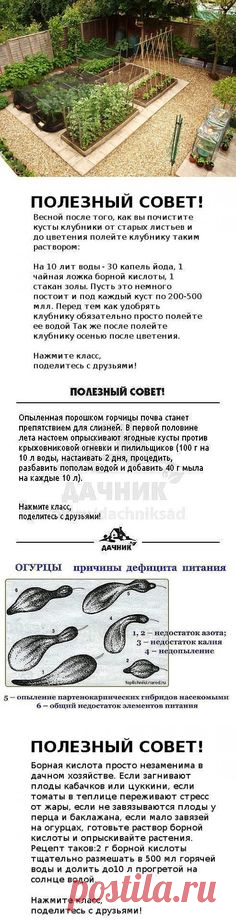 (12) Одноклассники:
