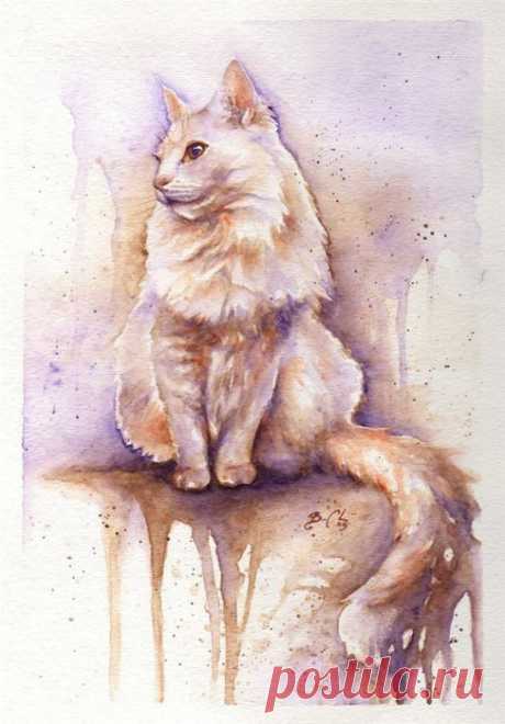 Художник Braden Duncan