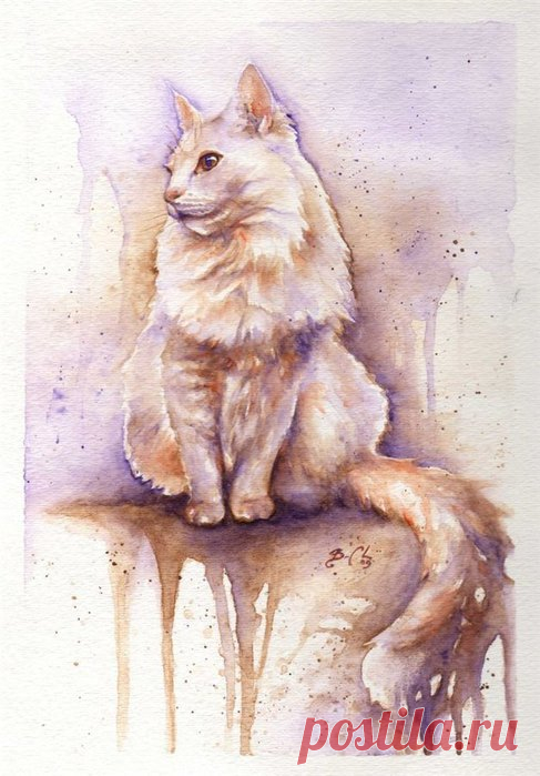 Художник Braden Duncan