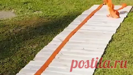 У кого руки не из жопы