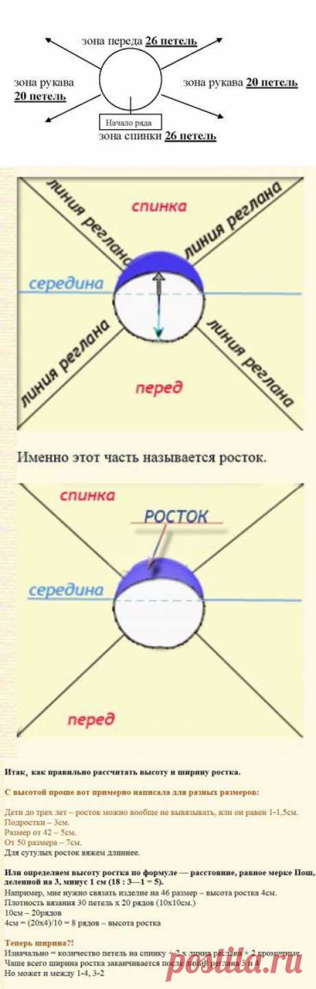 Расчет петель при вязании реглана (без швов) на круговых или на 5 спицах
