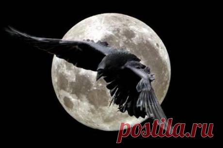 ПОЛЕЗНО ЗНАТЬ КАЖДОМУ!!! ПРИМЕТЫ, ОБРЯДЫ,ЗАГОВОРЫ... | Познавательный сайт ,,1000 мелочей&quot;