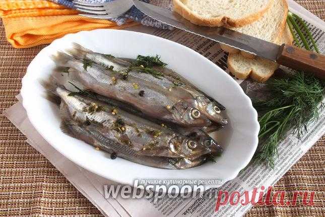 Мойва солёная рецепт с фото, как приготовить на Webspoon.ru