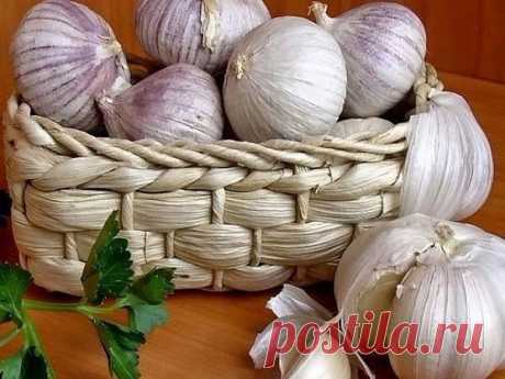 СПИСОК 10 ПРОДУКТОВ - УБИЙЦ РАКОВЫХ КЛЕТОК
Чеснок
Чеснок не только защищает от вампиров, но и благодаря особым соединениям повышает активность клеток иммунной системы, что отвечает за сопротивление раку. Учеными давно доказано, что чеснок снижает риск развития сердечных болезней и инсульта. Более того, он способен защитить от рака желудка и рака кишечника - двух крупнейших болезней-убийц на планете.
Исследования доказали, что те, кто употребляет чеснок регулярно, сталкиваю...