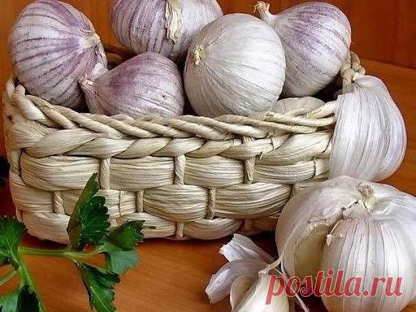 СПИСОК 10 ПРОДУКТОВ - УБИЙЦ РАКОВЫХ КЛЕТОК
Чеснок
Чеснок не только защищает от вампиров, но и благодаря особым соединениям повышает активность клеток иммунной системы, что отвечает за сопротивление раку. Учеными давно доказано, что чеснок снижает риск развития сердечных болезней и инсульта. Более того, он способен защитить от рака желудка и рака кишечника - двух крупнейших болезней-убийц на планете.
Исследования доказали, что те, кто употребляет чеснок регулярно, сталкиваю...