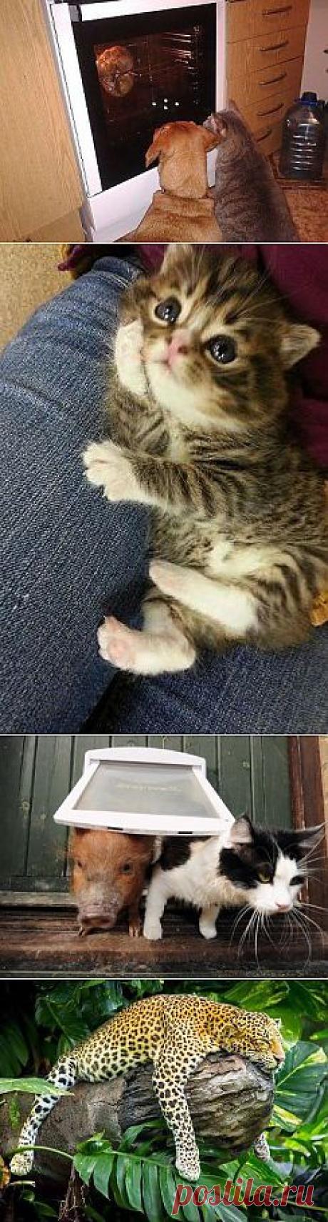 Вам сообщение!