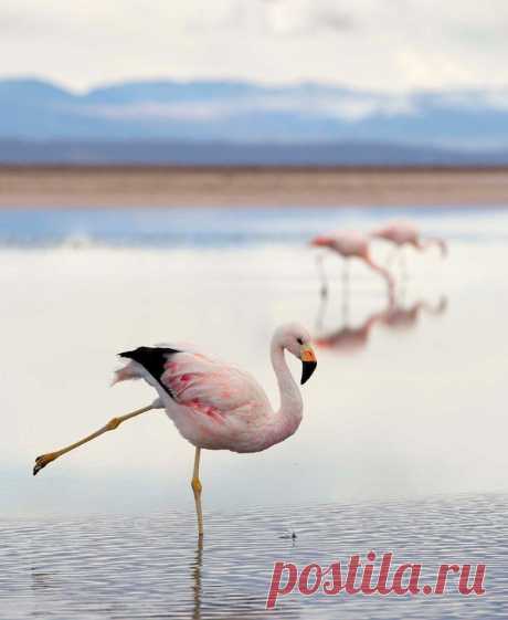 Мой Мир@Mail.Ru