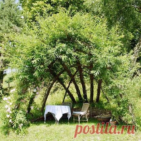 Как сделать беседку из ивы в саду