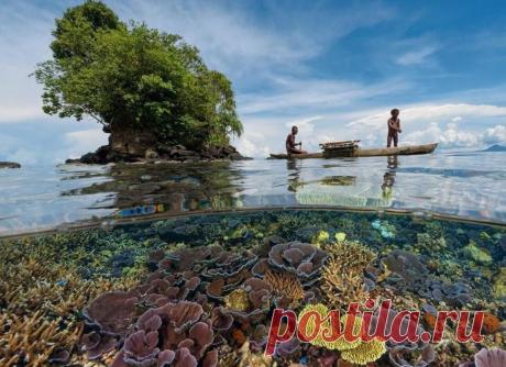 Что скрывается под водой… - Фотопанорама