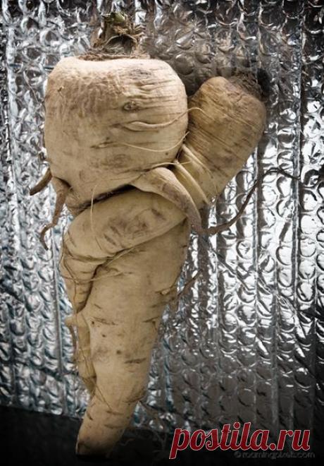 Найдено на сайте roamingpixels.com.