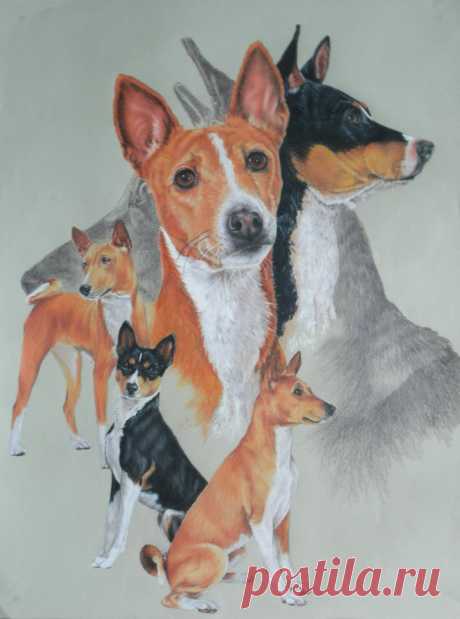 Basenji Revamp от Барбары Кит | ArtWanted.com