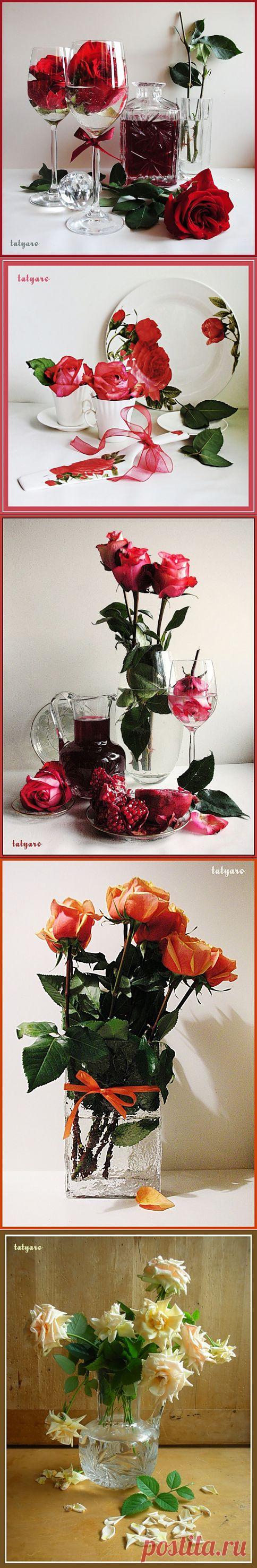 Натюрморты Татьяны Романюк.