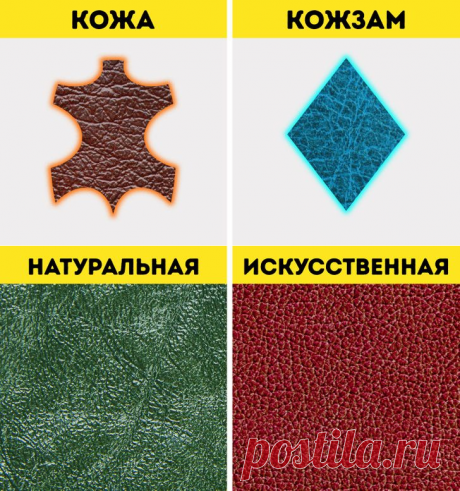 10 разновидностей натуральной кожи и как быстро отличить ее от кожзама | Всегда в форме!