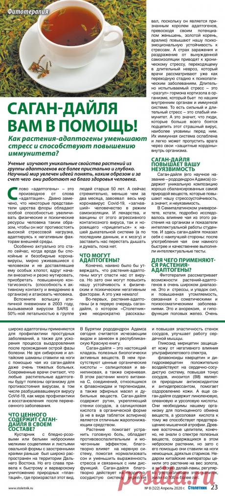 Саган-Дайля в помощь