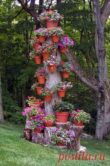 Цветное дерево