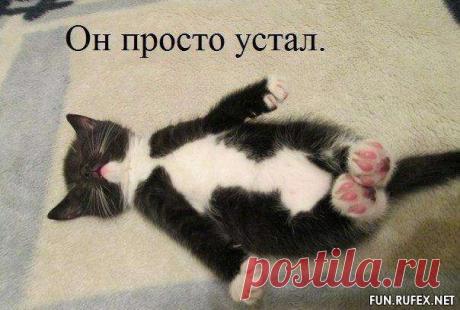 Смешные картинки