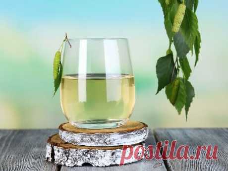 Лекарство из березового сока – как собрать сок, как приготовить и принимать? Как сделать лекарство из березового сока? Как делать сбор сока безболезненно для деревьев? Подбирается кусок трубочки, шланга не большой длинны, диаметром