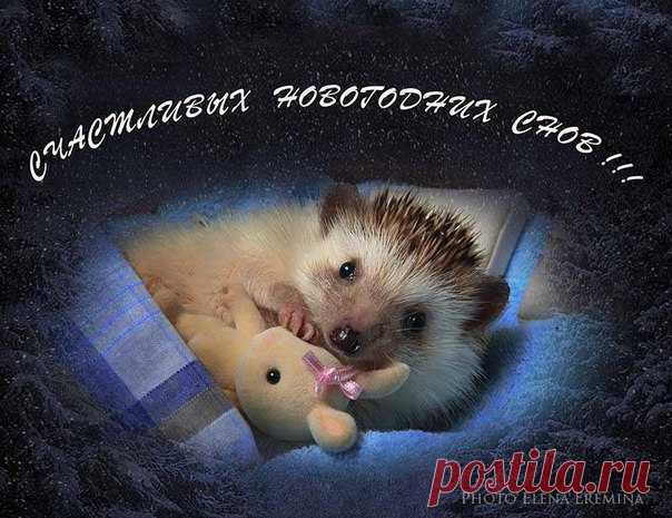 Вот и прошел первый день 2017 года...Знаем, что Вы, конечно, еще не спите.....Но если, все-таки, соберетесь, то: