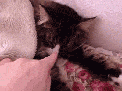 Мой Мир@Mail.Ru