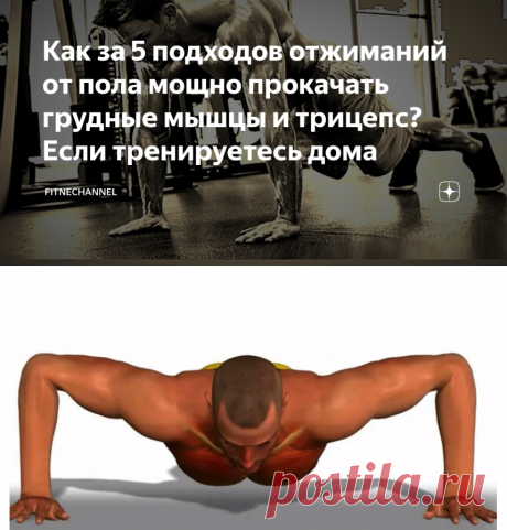 Как за 5 подходов отжиманий от пола мощно прокачать грудные мышцы и трицепс? Если тренируетесь дома | fitnechannel | Яндекс Дзен