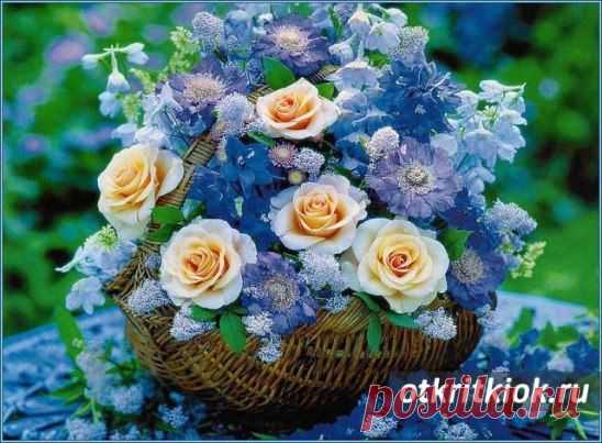 Живи так, чтобы было что вспомнить