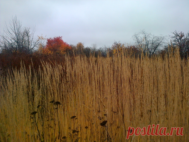 Осень в Щекино