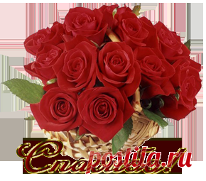 Урок - Как делать кнопку с текстом