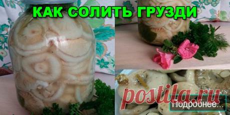 КАК СОЛИТЬ ГРУЗДИ - ПОЛЕЗНЫЕ СОВЕТЫ