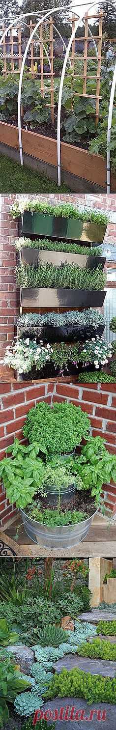 Садовые полезные советы..