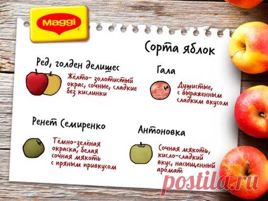 Сладкие или с кислинкой, мелкие или крупные, зелёные или красные — изучайте по нашей шпаргалке самые популярные сорта яблок и пишите в комментариях, какие любите вы!