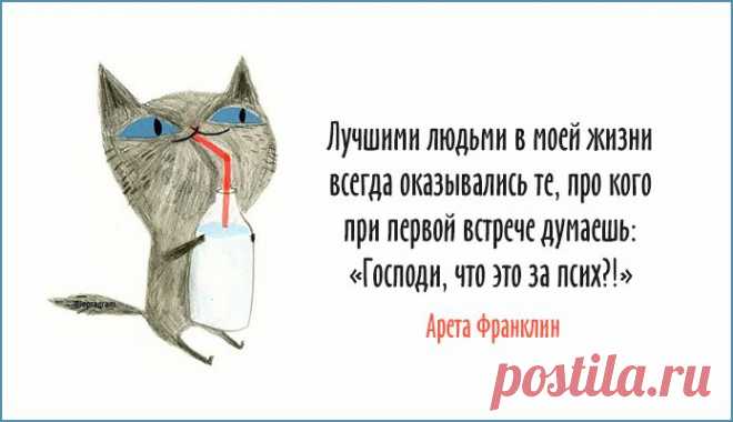 Одной фразой – Фитнес для мозга