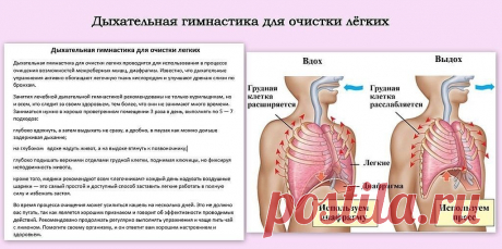 ДЫХАТЕЛЬНАЯ ГИМНАСТИКА !  **Очистка бронхов и легких.