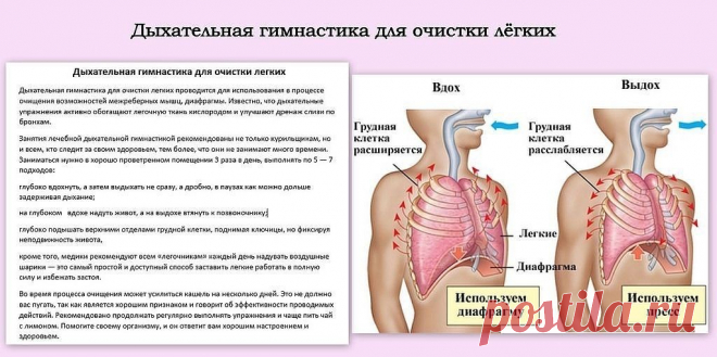 ДЫХАТЕЛЬНАЯ ГИМНАСТИКА !  **Очистка бронхов и легких.