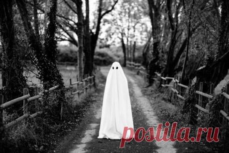 Дорожный призрак. Мистика из жизни
Приветики! Эту историю рассказал один мой знакомый, он дальнобойщик со стажем. Было ли это взаправду или нет кто знает, но мне почему то кажется что знакомый если и приукрасил то совсем чуть чуть. А дело было так, выпал ему рейс не то что бы сложный, но муторный. Напарника у него не было, ну да не […]
Читай пост далее на сайте. Жми ⏫ссылку выше