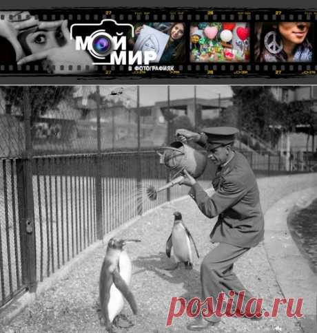 45 удивительных, шокирующих и смешных фотографий из прошлого! | Мой мир в фотографиях