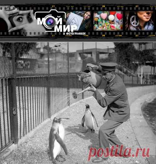 45 удивительных, шокирующих и смешных фотографий из прошлого! | Мой мир в фотографиях