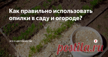 Как правильно использовать опилки в саду и огороде? Древесные опилки - востребованный материал в саду и огороде. Благодаря уникальным химическим и биологическим свойствам, их можно применять во всех аспектах дачной жизни.
Правильное использование добавки поможет существенно улучшить свойства почвы, повысить урожайность и предотвратить многие болезни зеленых насаждений, но лишь незначительная ошибка способна свести на нет все труды садовода.