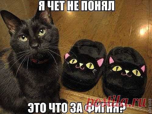 Подстава...