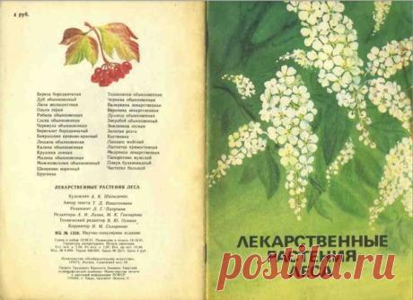 «Лекарственные растения леса» Т.Д. Никиточкина.
Подписывайтесь на ДЗР!
У нас еще много интересного!
Лучшее развлекательно-познавательное сообщество в ВК!