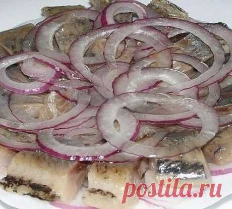 Вкусная слабосоленая сельдь