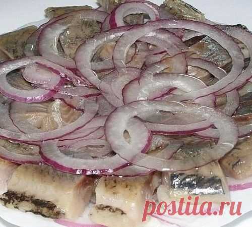 Вкусная слабосоленая сельдь