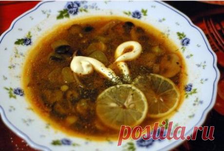 Солянка бывает разной: 4 рецепта вкусных грибных солянок / Простые рецепты