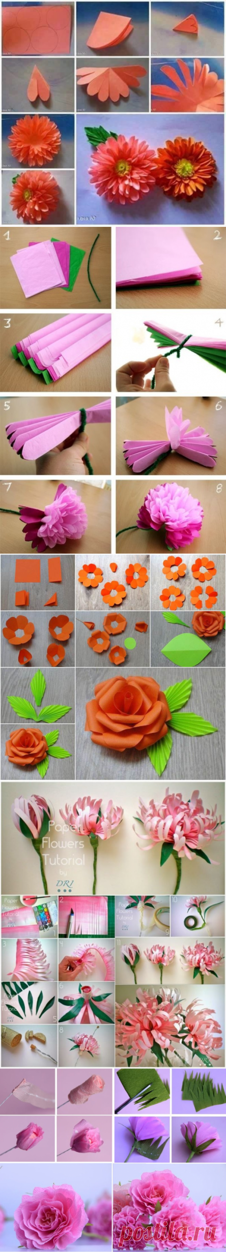 Прекрасные цветы из бумаги: мастер-класс — Сделай сам, идеи для творчества - DIY Ideas