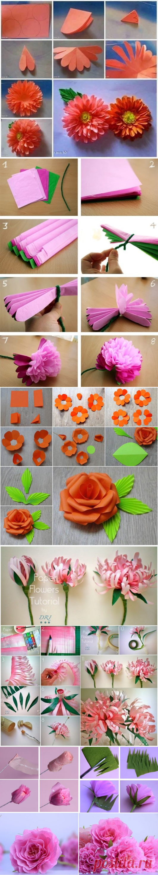Прекрасные цветы из бумаги: мастер-класс — Сделай сам, идеи для творчества - DIY Ideas