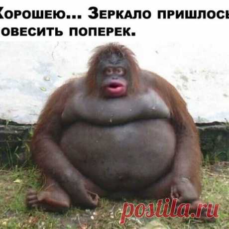 Photo by ЛУЧШИЙ ЖЕНСКИЙ ЮМОР on April 14, 2020. Image may contain: one or more people, text that says 'зеркало пришлось повесить поперек.'