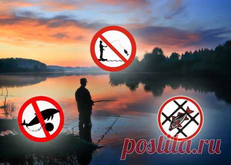 3 странных момента в законе о рыбалке, которые вызывают недоумение у рыбаков | ПОДСЛУШАНО СЕКРЕТЫ РЫБОЛОВА | Яндекс Дзен