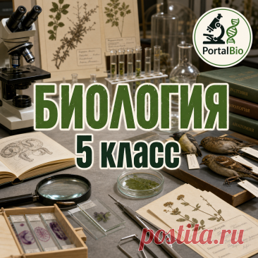 Урок № 1. Живая и неживая природа. Признаки живого. | PortalBio