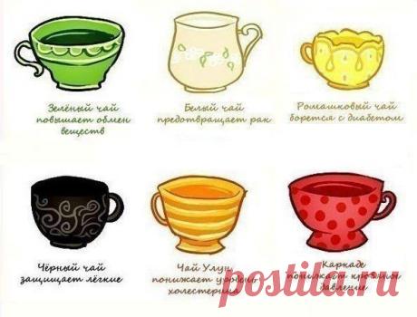 Орехи.ТВ - Категория «Идеи для жизни (life hacks)»